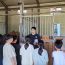 육성농장 이미지