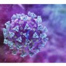 윤바이오(주) 이미지