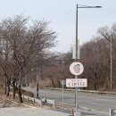 커피 브루잉 | [천안]스페셜티 로스터리카페 로우스톤커피클럽 구룡랩점 브루잉커피 솔직후기!