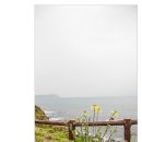 이제;봄 이미지