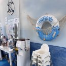 비치버거 | 방아머리해수욕장맛집 대부도수제버거 버거비치 드라이브 코스 추천/후기