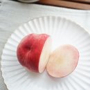 적보농장 네이버블로그