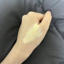 사계절약국 이미지