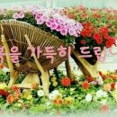 시곡농장 Daum카페