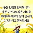 한방을 통한 중풍예방 이미지