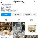 오가닉 오차드(organic orchard) 네이버블로그