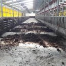 성인축산 이미지