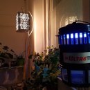 (주)정명약품 | 해충퇴치방법 독보적인 울트라트랩