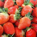 한상기 농장 이미지