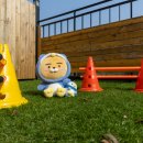 가평댕댕이애견독채펜션퍼플 이미지