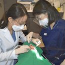 수도치과의원 이미지
