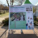 생활문화예술제 네이버블로그