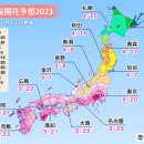 2023년 일본 벚꽃 개화 예상일 이미지
