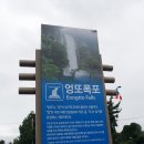 유동축산물도매센타