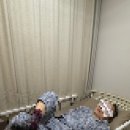 보람외과의원 | [강남원진성형외과] 내돈내산 눈밑지방재배치 솔직후기