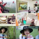 욜로스포츠 이미지