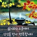 오늘도소풍