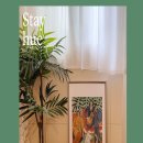 스테이 이공 이미지