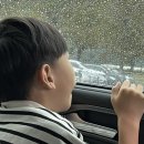 기린비타하우스 | 꿈은 없고요, 그냥 놀고싶습니다