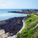 제주소소민박 이미지