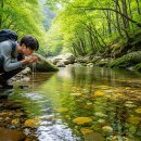 합천 ﻿가야산 국립공원 등산 코스 최신 정보 이미지