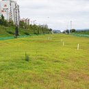 하대둔치 생활체육시설 파크골프장 이미지