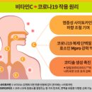 가자크린팜대학약국 이미지