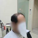 제천가발 이미지
