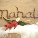 하와이약국 이미지