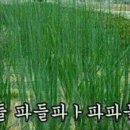 양천구민체육센터 이미지