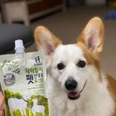 할리켄넬 | 펫산양유 강아지 산양유 닥터할리펫밀크 후기