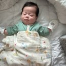 내돈내산 머미쿨쿨 좁쌀이불 후기(당근 마켓)