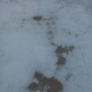 미래사랑빌딩 이미지