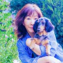 뽀리 이미지
