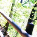 알프스여관 이미지