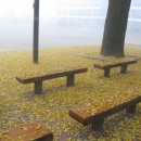 창녕옥야중학교 이미지