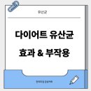 PLAY PUB | (논문기반) 다이어트 유산균 내장지방 감소 효과 부작용 (+내돈내산 후기)