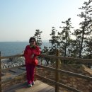 아리엘언니 이미지