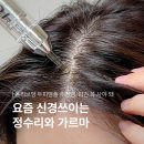 (주)디엔제이휴먼케어 | 올리브영 두피앰플 추천템 레스노베 엑스퍼트 샷 스칼프 앰플 볼륨 케어 후기