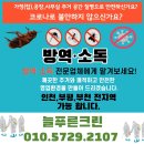 늘푸른약품 이미지