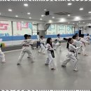 경희대 SJC 태권도장 이미지