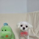 미소미용실 이미지