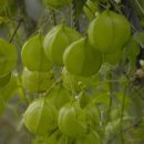 보경농장 이미지