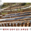 이안농장 이미지