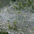 안덕생활체육관 이미지