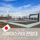 도쿄 여행 시부야스카이 예약 방법 클룩 트립닷컴 kkday 공홈 전망대 가격비교