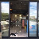 해피 애견 놀이방 이미지