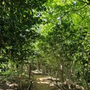 팔영산자연휴양림주차장 | 고흥 팔영산 최단코스 후기, 자연휴양림에서 깃대봉까지 왕복 1시간