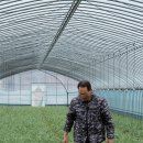 아낙네마을영농조합 이미지