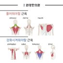 봉동원광한의원 이미지